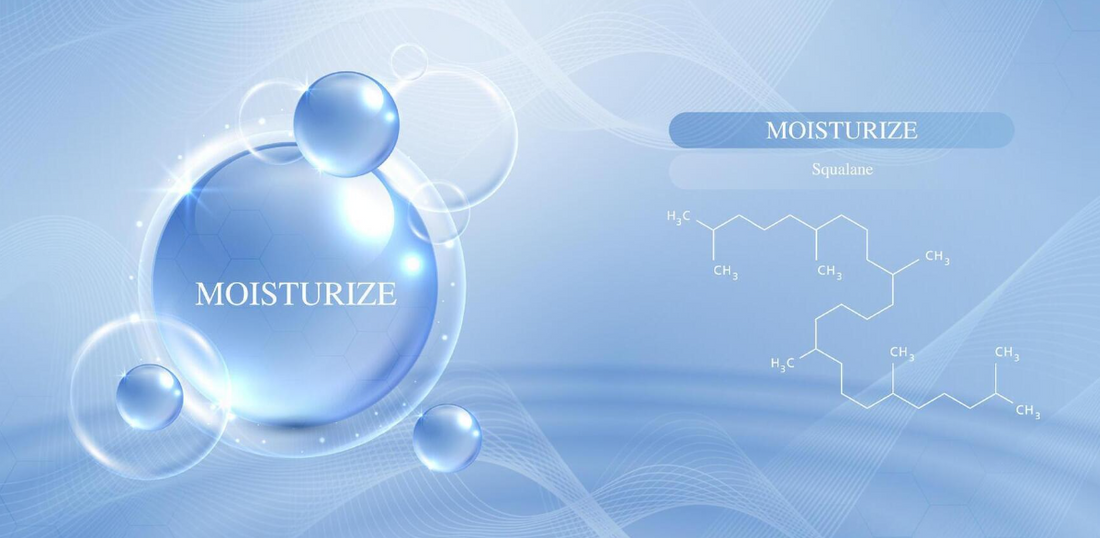 Mechanism Of Moisturizer Absorption By Novaskins – NOVASKINS